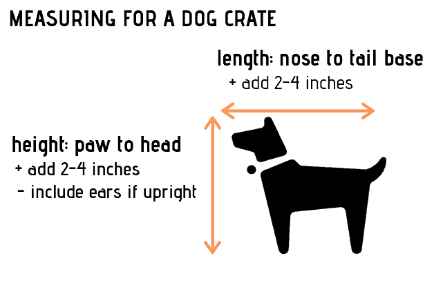 measuring-for-dog-crate