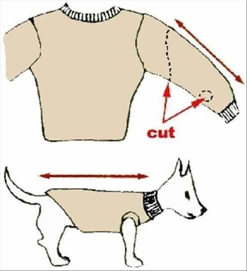 DIV Repurposed no Sew Dog Sweater measurements