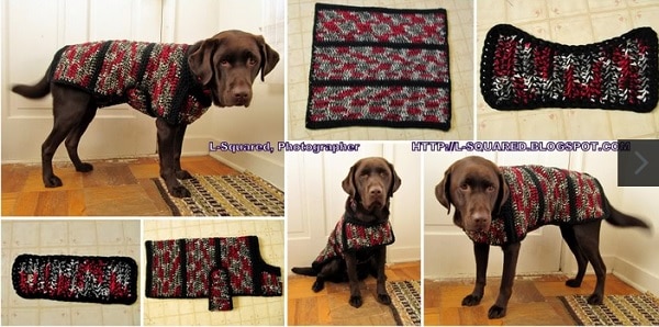 DIY Crochet Dog Sweater