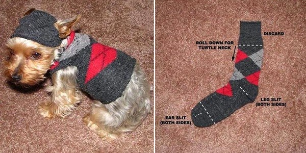 DIY dog Sock Sweater
