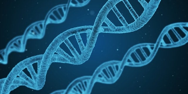 5 Nature vs Nurture Myths About Dogs: Is Your Dog a Product of Genetics or Environment? 4 dna-dog-genetics