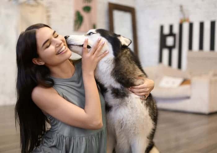 girl with husky dog