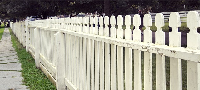fence for dog yard