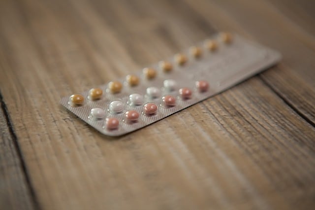 dog birth control pills