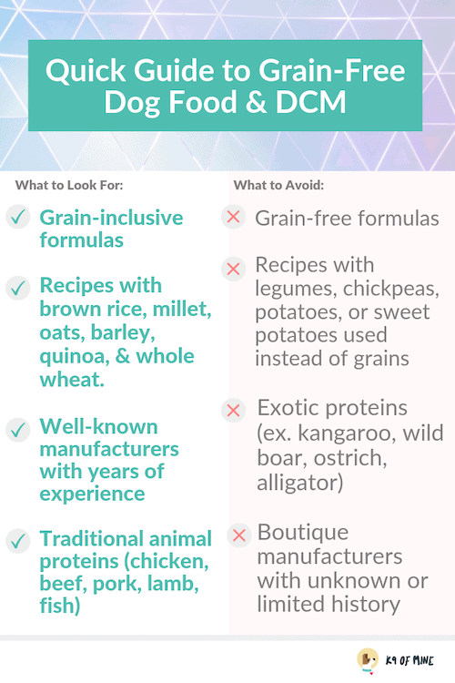 Discover The Best Grain Free Dog Food Top 10 Products Reviewed And Buying Guide Furry Folly discover-the-best-grain-free-dog-food-top-10-products-reviewed-and-buying-guide-furry-folly