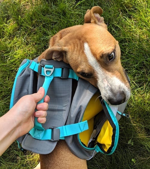 Adjustable Leash Saddlebag for Pet Outdoor Travel Camping Hiking Puppy Dog Cute Back Pack Saddle Bags Petyoung Pet Backpack Harness with Leash Set 