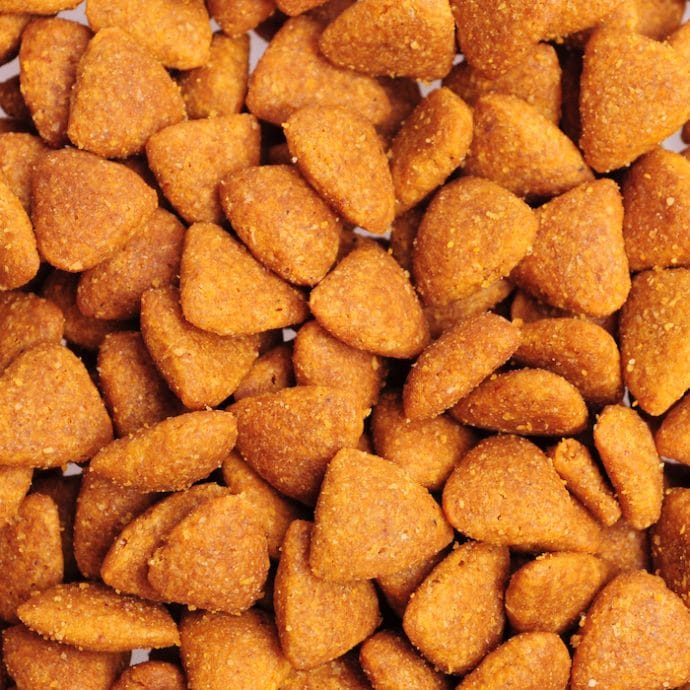 5 Best BudgetFriendly Dog Foods Affordable Nutrition For Your Canine!