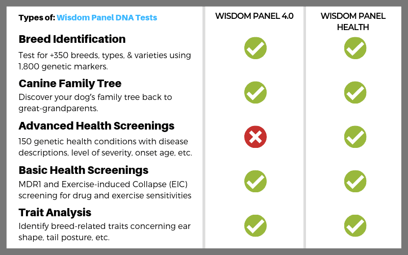 dog dna tests compared