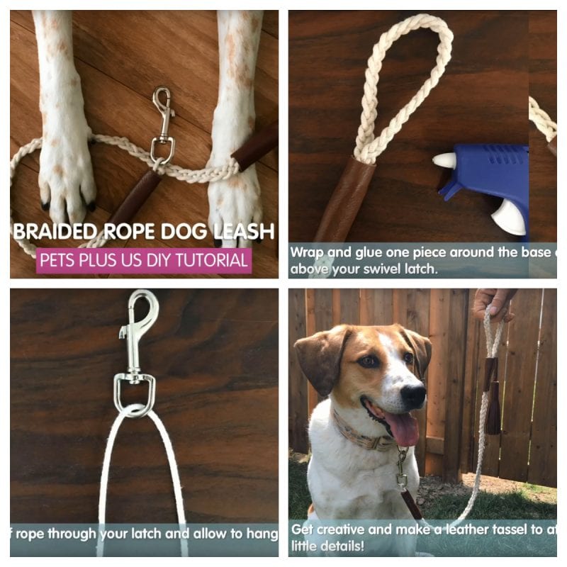 Diy Doggie Leashes 9 Great You Can Make Yourself - Diy Paracord Dog Leash With Carabiner