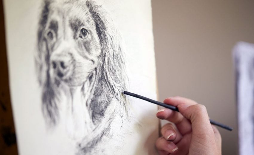 Portraits of Dogs