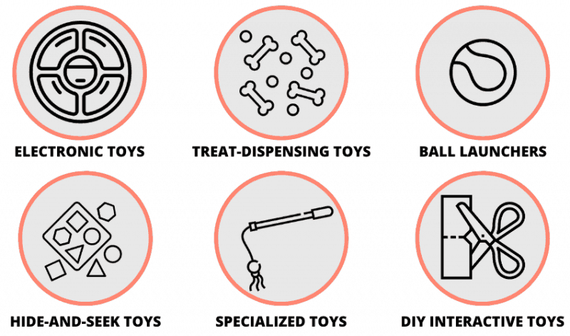 types of interactive dog toys