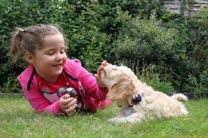 Help! My Dog Snapped at a Child! What Should I Do?