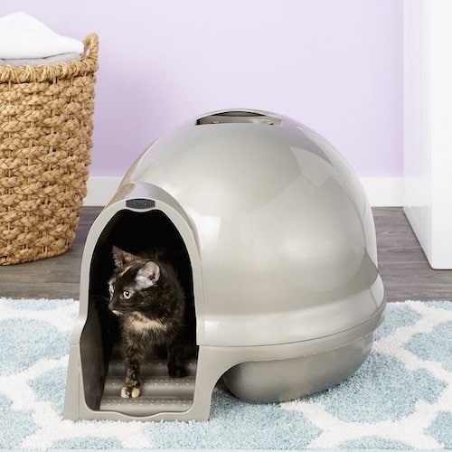5 Best Dog Proof Litter Boxes Keeping Your Pup Out of Cat Poo! K9 of