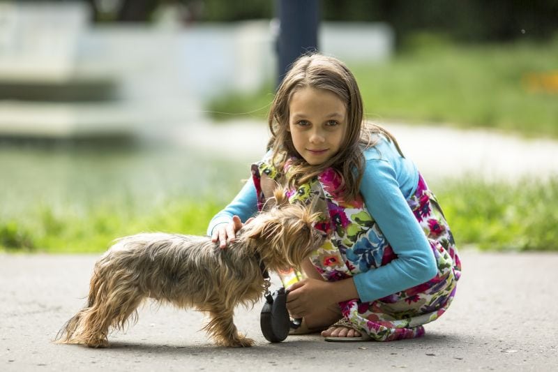small dog breeds for kids