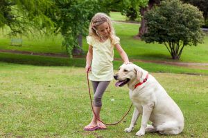 Help! My Dog Snapped at a Child! What Should I Do?