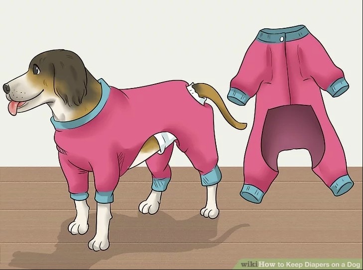 7 Diy Dog Diaper Ideas Homemade Puppy Diapers For Messes - How To Make Diy Dog Diapers At Home