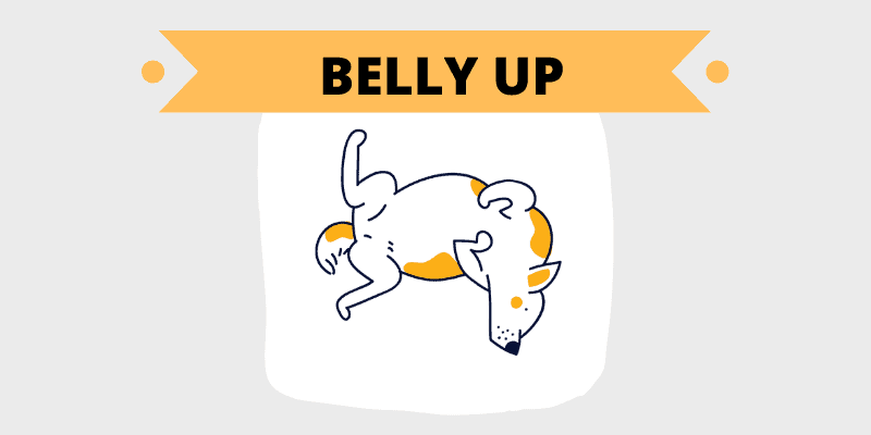 belly up sleep position