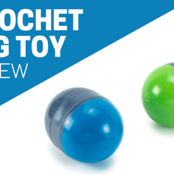 ricochet dog toy