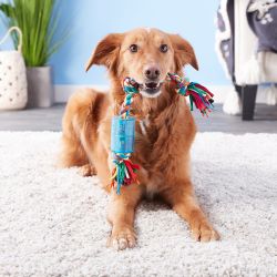 MAMMOTH Squeaky Cloth Rope toy for dogs