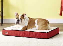 Brindle Dog Bed