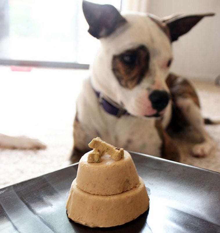 dog-friendly cup cake