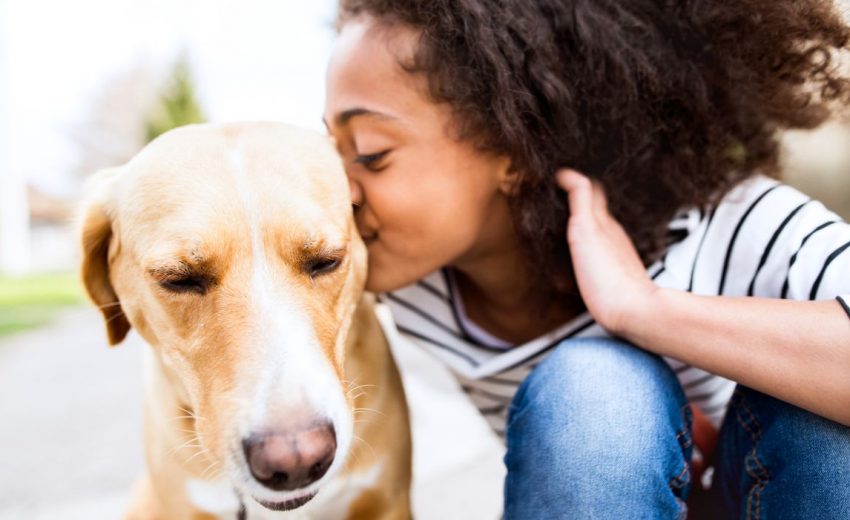 9 Best Pet Adoption Websites: Where to Find a New Pooch!
