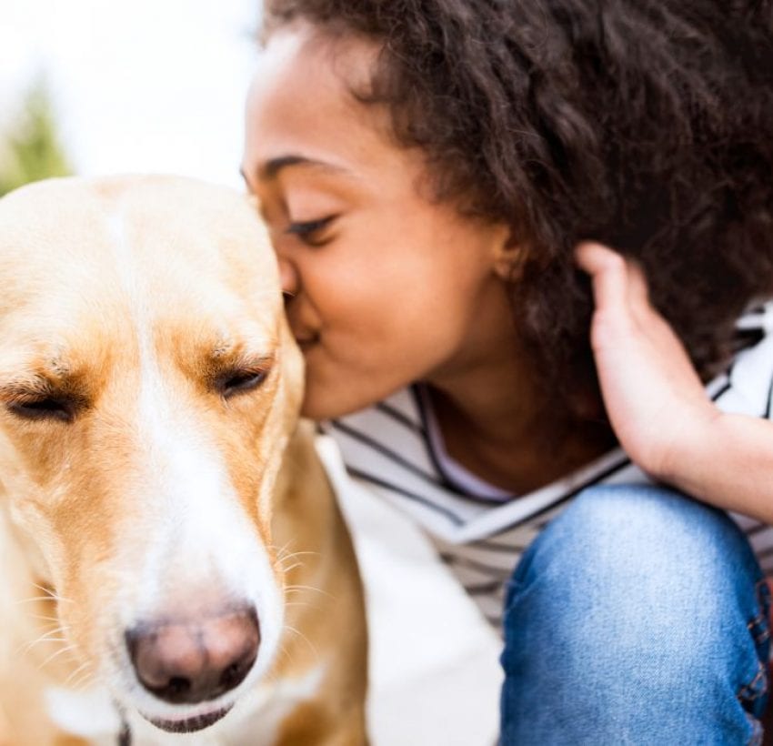 View of Introducing a Puppy to Older Resident Dog: 4 Steps For Smooth Meetings!