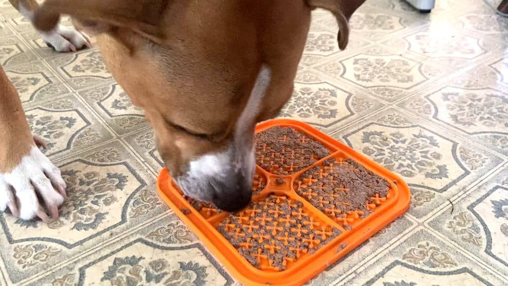 Treats Dog Licking Mat Slow Feeder Dog Bowls 3 Pcs Dog Peanut Butter Lick Pad with Suction Cups for Anxiety Relief Perfect for TDZWIN Licking Mat for Dogs Yogurt with Free Scraper&Brush BPA Free 