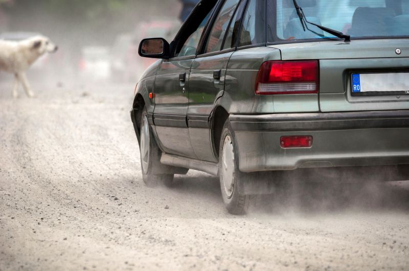 carros são perigosos para os cães