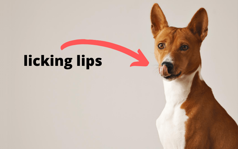 lip-licking