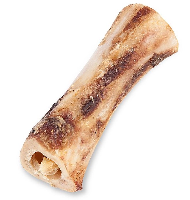 dog beef bone