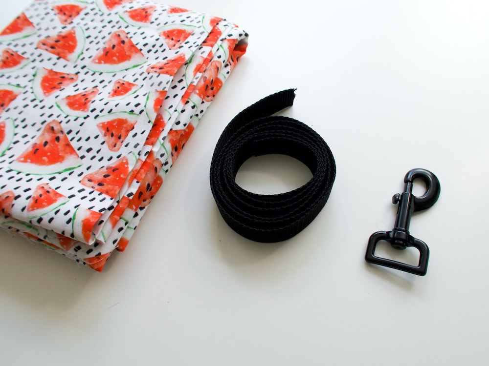 DIY Dog Leash Tutorial: How to Make Your Own Fabric Dog Leash!