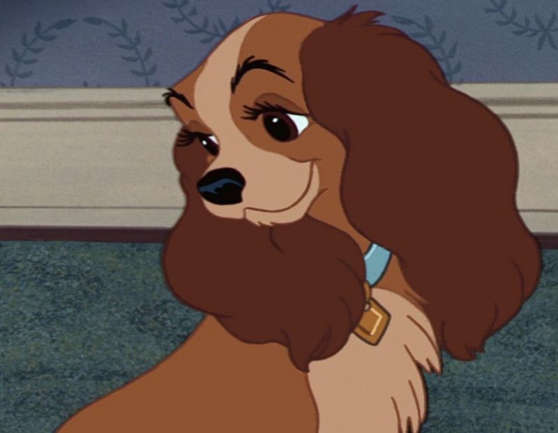 Lady from Lady and the Tramp