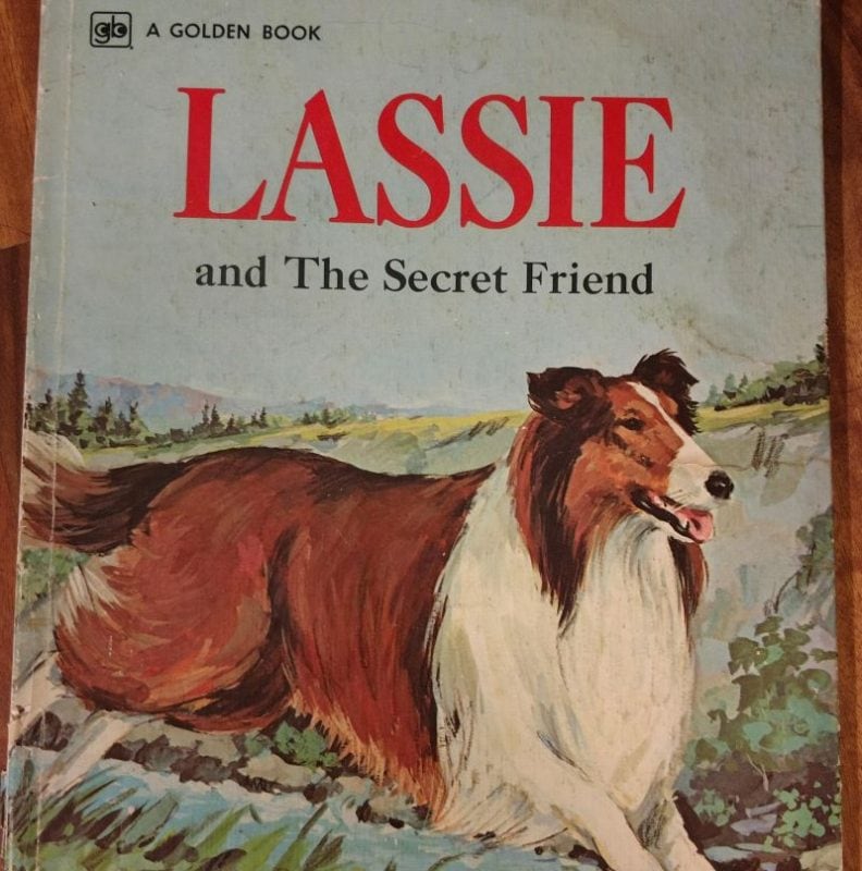 Lassie Book