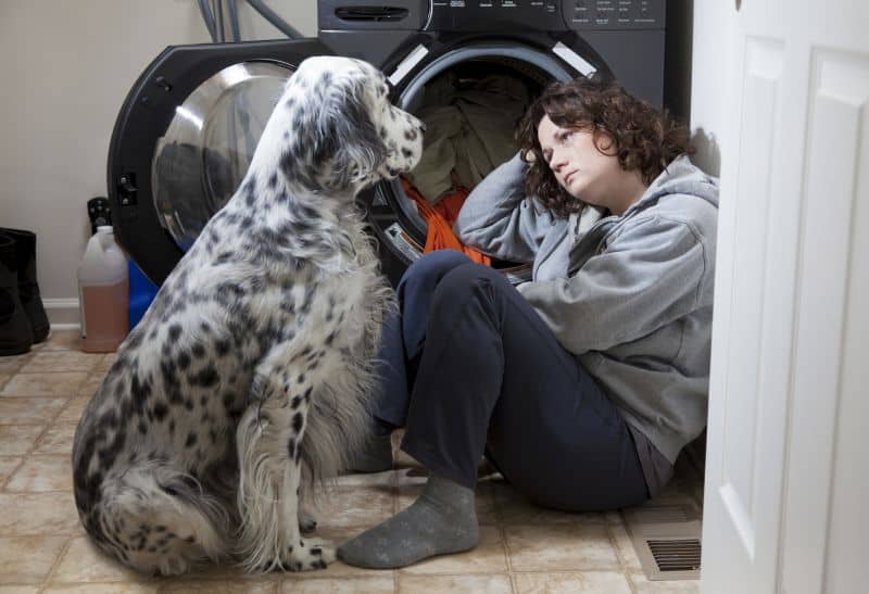 7 Hacks to Get Dog Hair Off Clothes in the Washer (Or Dryer)!