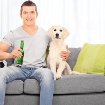 teach your dog to fetch a beer