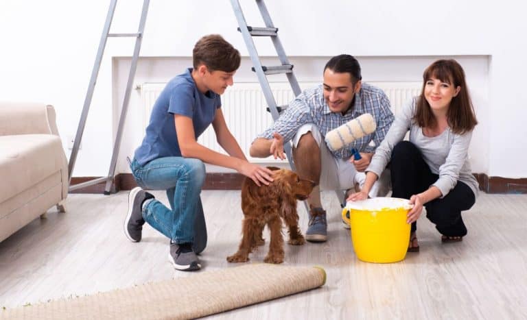 Image showcasing 5 Best Dog-Safe Paints: Painting Safely Around Your Pooch!