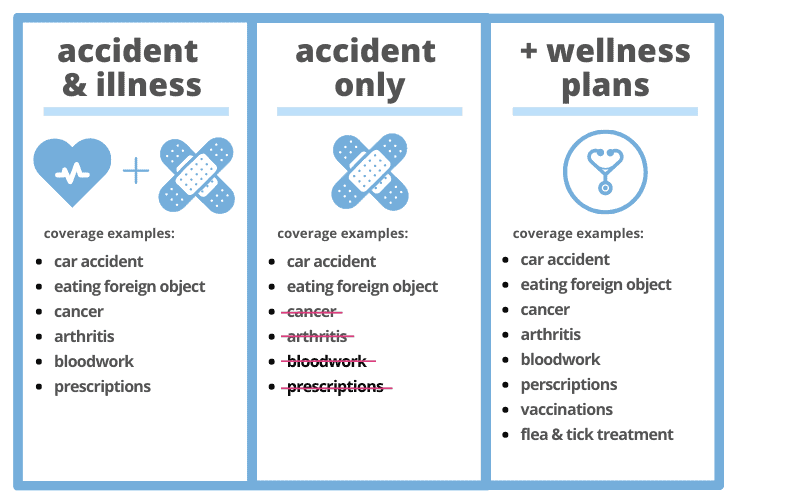 types of pet insurance