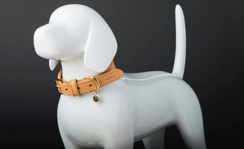 PURPLE OR  LILAC  "RAINBOW  " small dog puppy collar & or lead set 