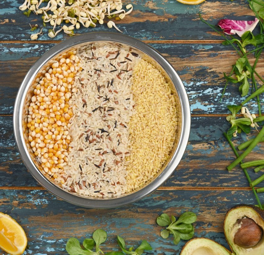 View of 5 Best Hypoallergenic Dog Foods + What to Feed a Dog With Allergies