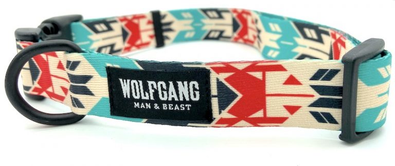22 Epic, Unique Dog Collars & Leashes [2025 Highlights]