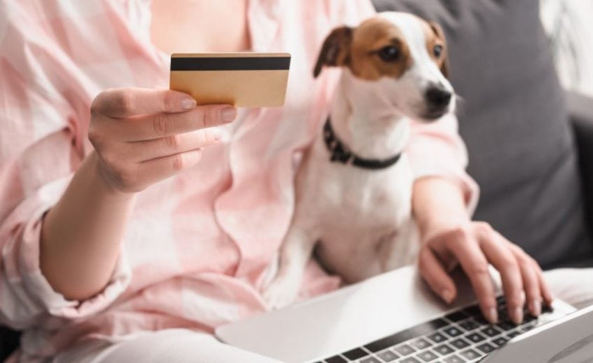 I. The Importance of Budgeting for a Dog