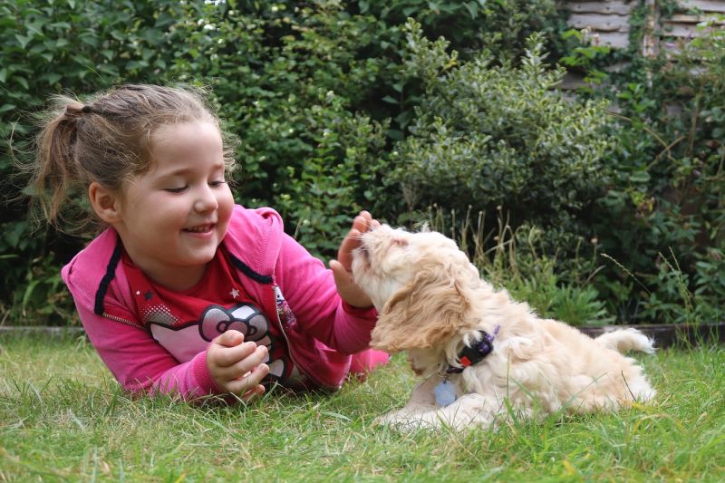 what makes a dog good for kids