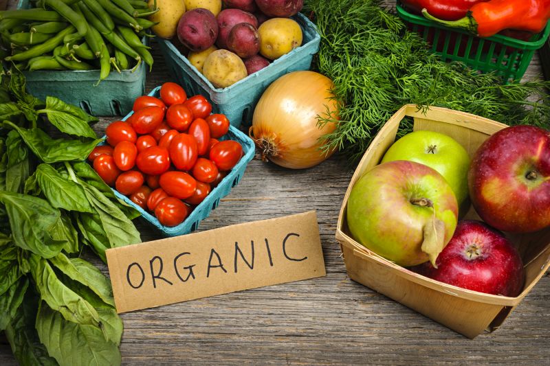 what does organic mean