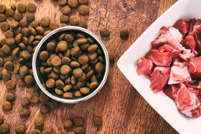 Sustainable dog cheap food brands