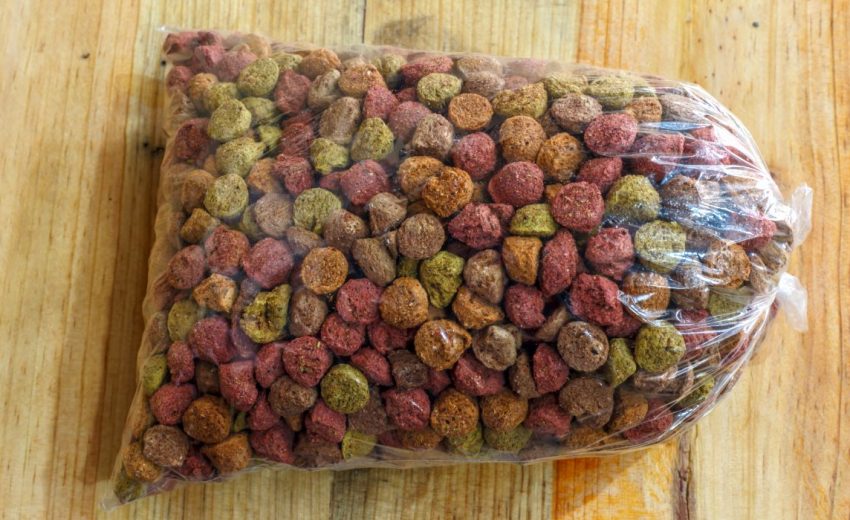 Where to Get Free Dog Food Samples: 13 Options for Free Samples!: No-Cost  Nomming for Dogs