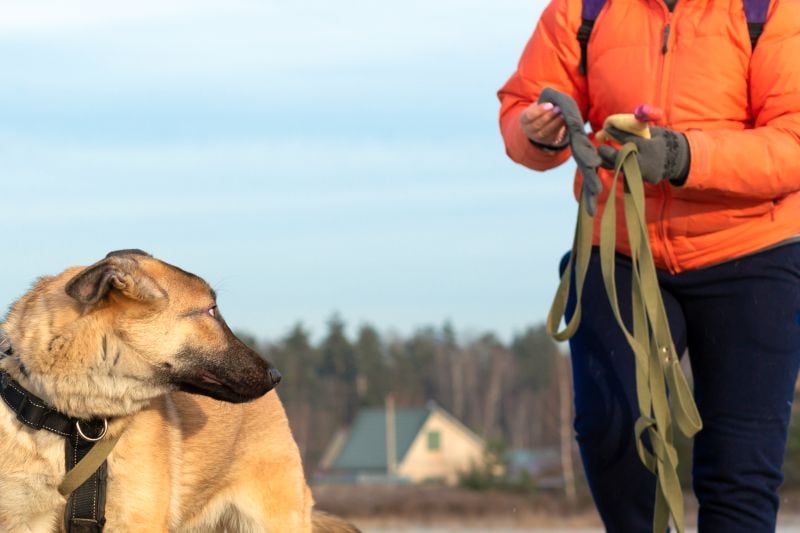 Long leash uses