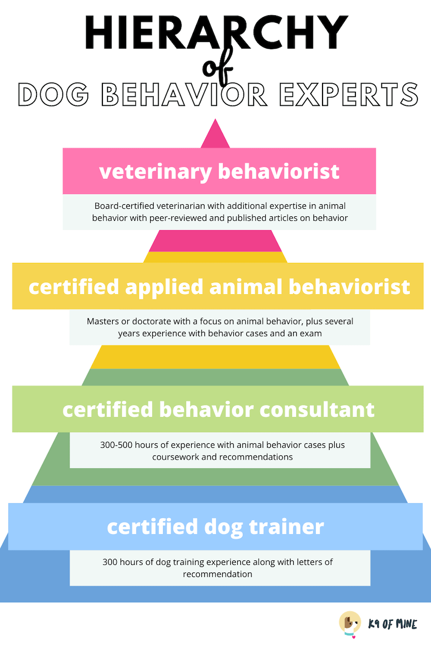 dog behaviorist expert hierarchy