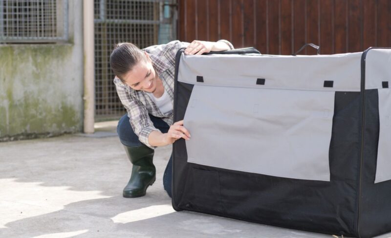 Best Dog Crates for Large and Extra-Large Dogs: Super-Sized Spaces! 19 The best insulated kennel covers
