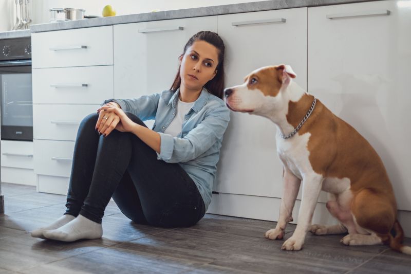 guilt over dog euthanasia